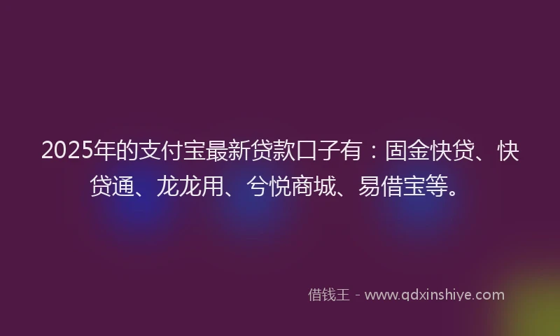 2025年的支付宝最新贷款口子有：固金快贷、快贷通、龙龙用、兮悦商城、易借宝等。