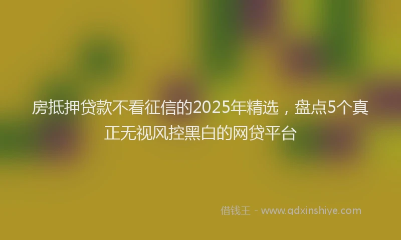 房抵押贷款不看征信的2025年精选，盘点5个真正无视风控黑白的网贷平台