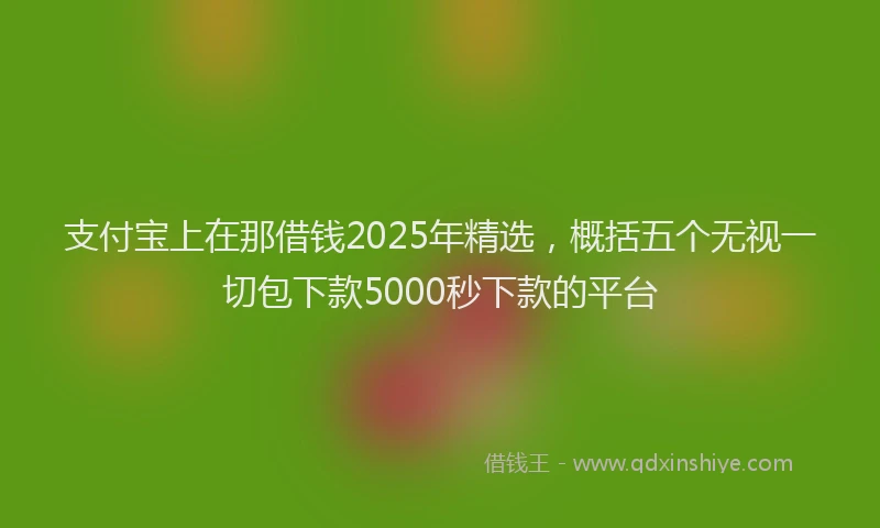 支付宝上在那借钱2025年精选，概括五个无视一切包下款5000秒下款的平台