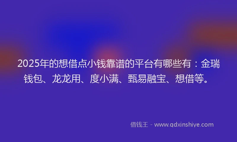 2025年的想借点小钱靠谱的平台有哪些有：金瑞钱包、龙龙用、度小满、甄易融宝、想借等。