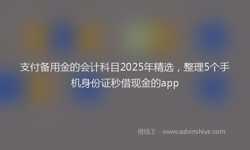 支付备用金的会计科目2025年精选，整理5个手机身份证秒借现金的app