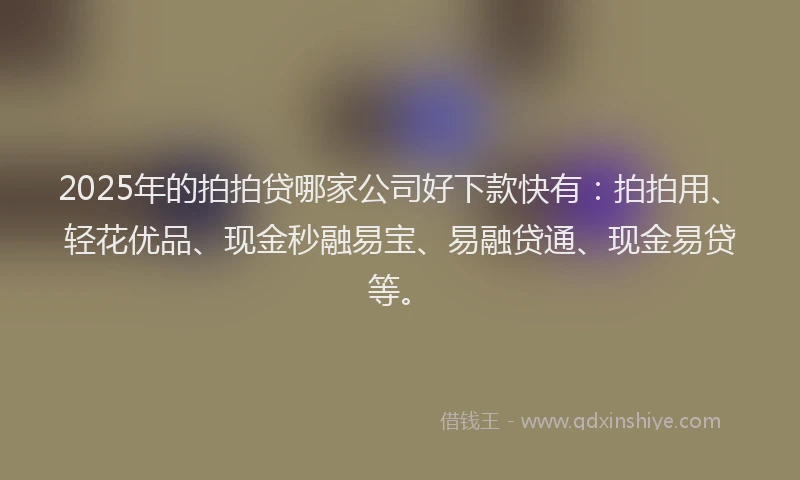 2025年的拍拍贷哪家公司好下款快有：拍拍用、轻花优品、现金秒融易宝、易融贷通、现金易贷等。