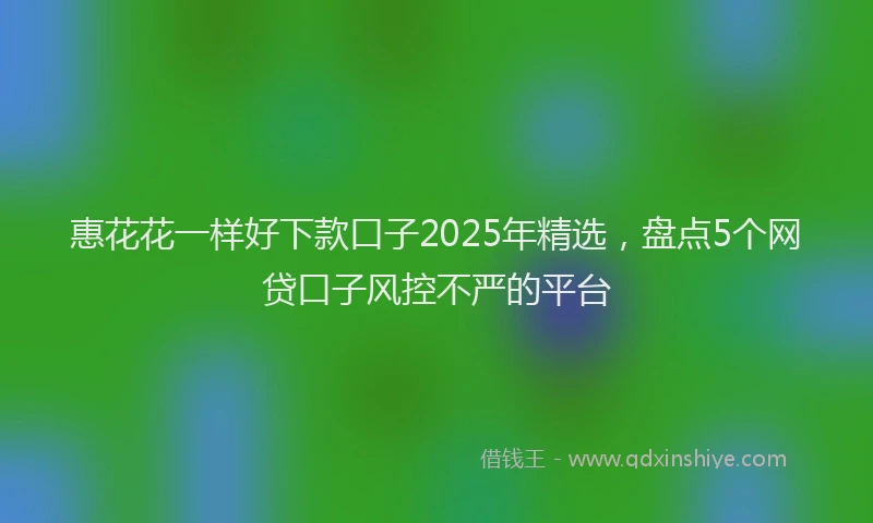 惠花花一样好下款口子2025年精选，盘点5个网贷口子风控不严的平台