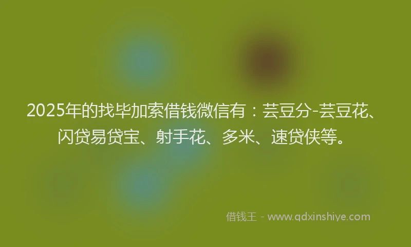 2025年的找毕加索借钱微信有：芸豆分-芸豆花、闪贷易贷宝、射手花、多米、速贷侠等。
