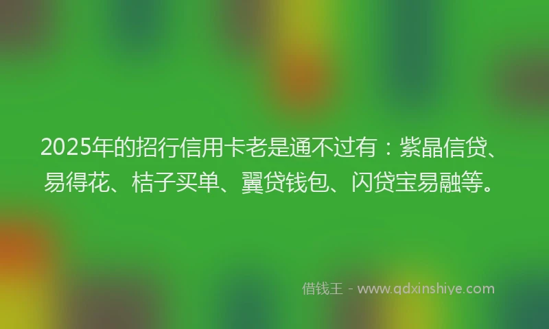 2025年的招行信用卡老是通不过有：紫晶信贷、易得花、桔子买单、翼贷钱包、闪贷宝易融等。