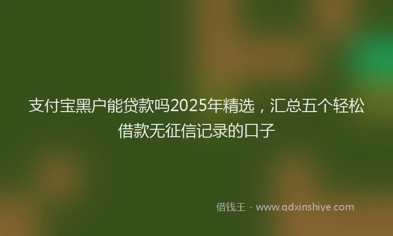 支付宝黑户能贷款吗2025年精选，汇总五个轻松借款无征信记录的口子