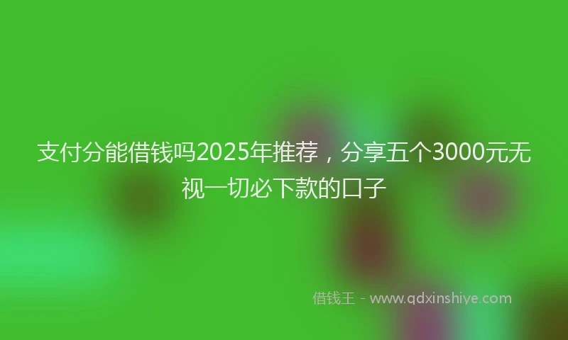 支付分能借钱吗2025年推荐，分享五个3000元无视一切必下款的口子