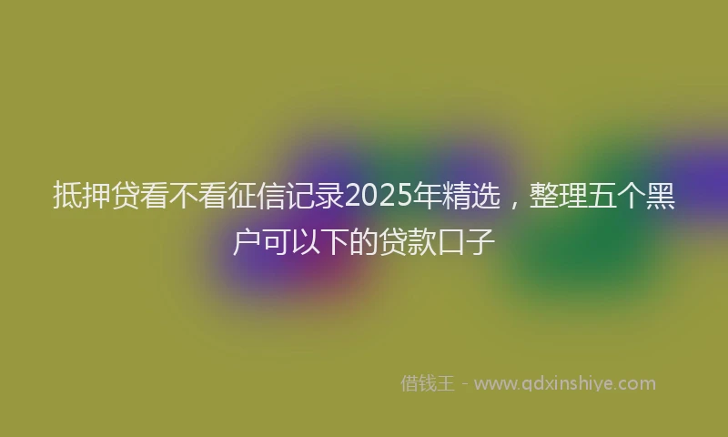 抵押贷看不看征信记录2025年精选，整理五个黑户可以下的贷款口子
