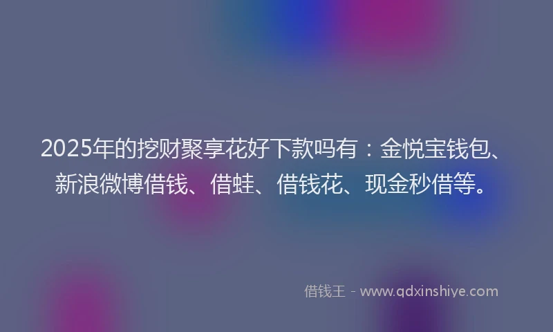 2025年的挖财聚享花好下款吗有：金悦宝钱包、新浪微博借钱、借蛙、借钱花、现金秒借等。
