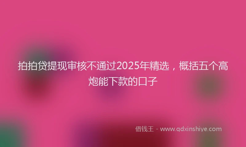 拍拍贷提现审核不通过2025年精选，概括五个高炮能下款的口子