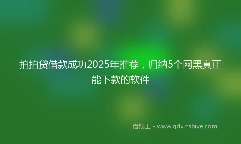 拍拍贷借款成功2025年推荐，归纳5个网黑真正能下款的软件