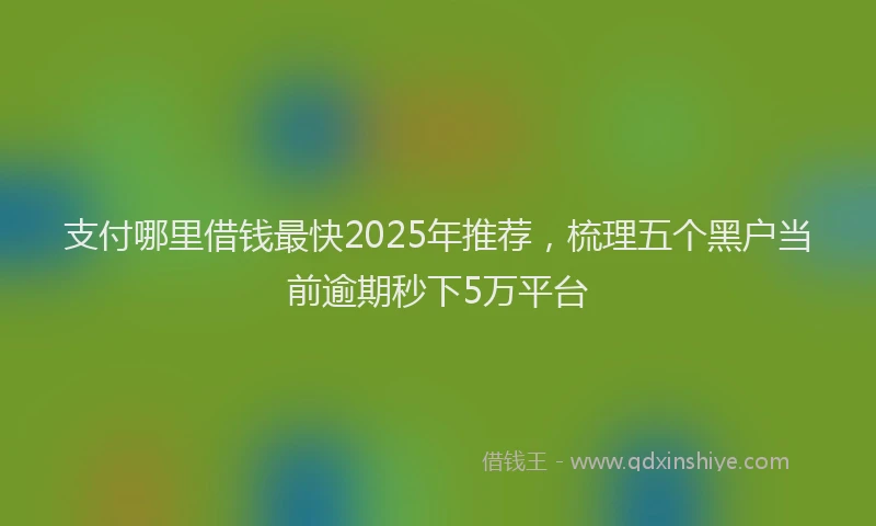 支付哪里借钱最快2025年推荐，梳理五个黑户当前逾期秒下5万平台