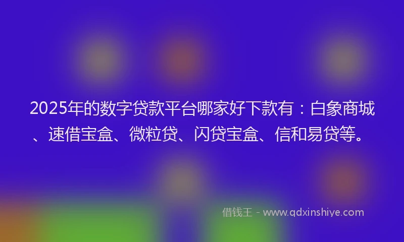2025年的数字贷款平台哪家好下款有：白象商城、速借宝盒、微粒贷、闪贷宝盒、信和易贷等。