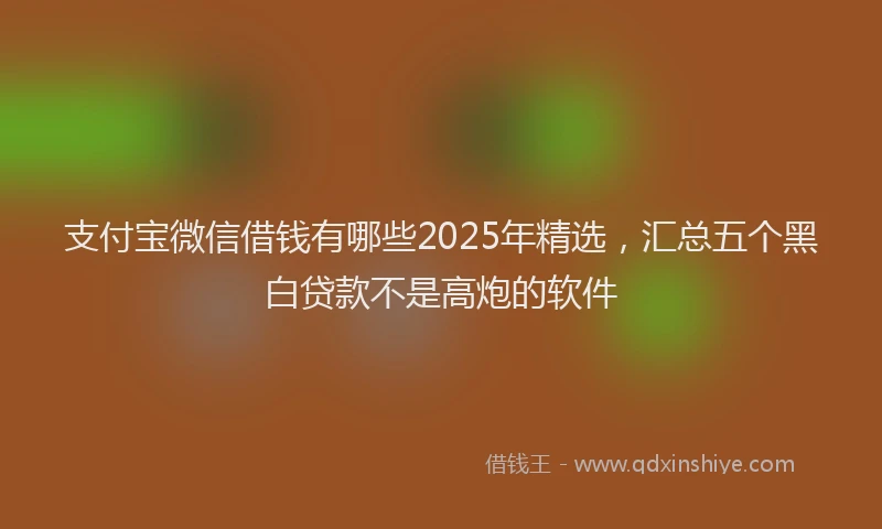 支付宝微信借钱有哪些2025年精选，汇总五个黑白贷款不是高炮的软件
