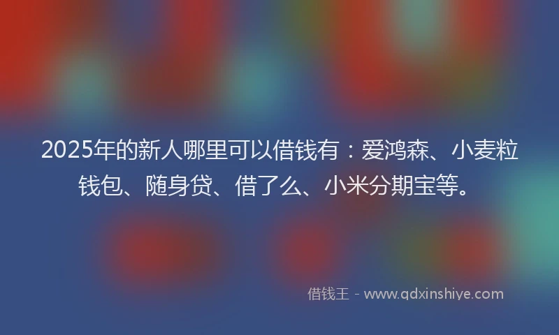 2025年的新人哪里可以借钱有：爱鸿森、小麦粒钱包、随身贷、借了么、小米分期宝等。