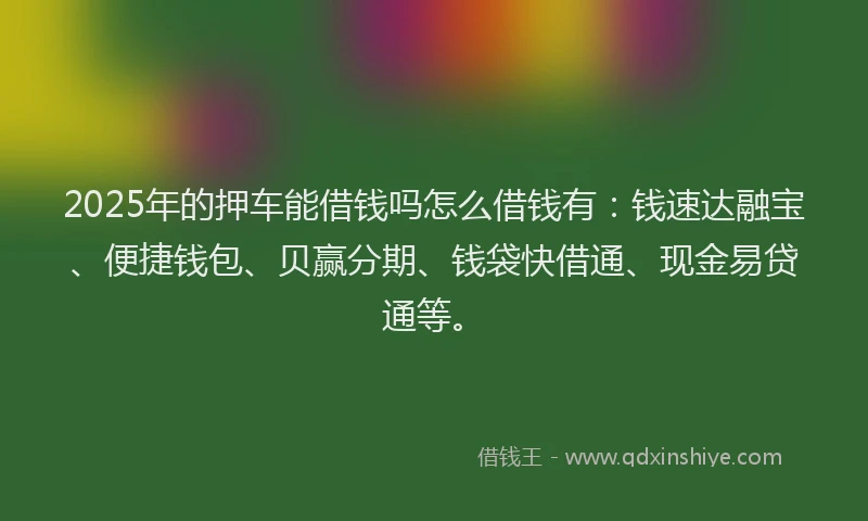 2025年的押车能借钱吗怎么借钱有：钱速达融宝、便捷钱包、贝赢分期、钱袋快借通、现金易贷通等。