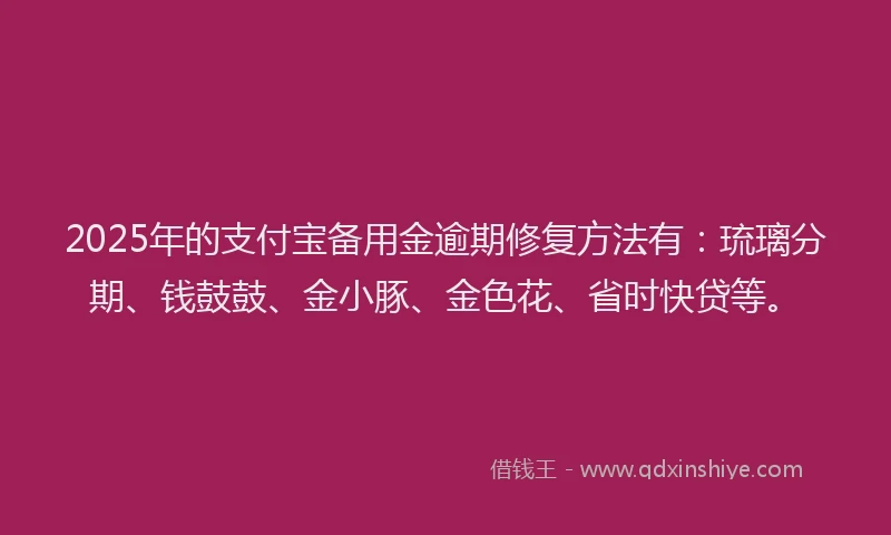 2025年的支付宝备用金逾期修复方法有：琉璃分期、钱鼓鼓、金小豚、金色花、省时快贷等。