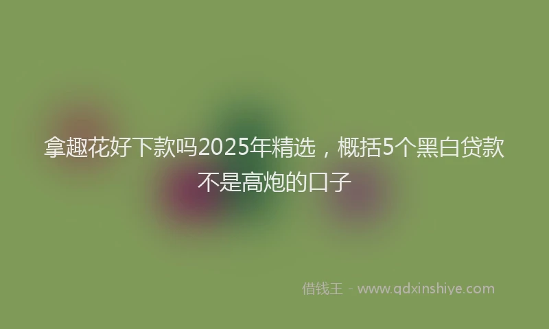 拿趣花好下款吗2025年精选,概括5个黑白贷款不是高炮的口子