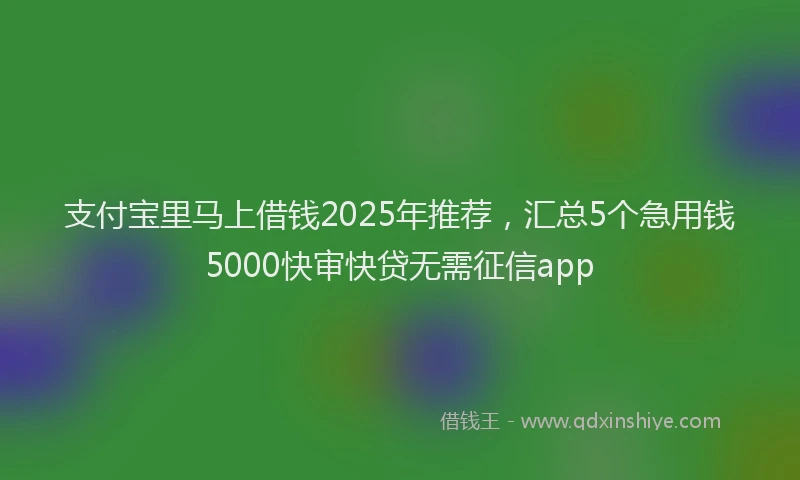 支付宝里马上借钱2025年推荐，汇总5个急用钱5000快审快贷无需征信app