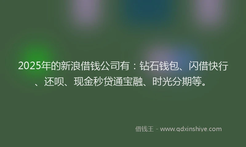 2025年的新浪借钱公司有：钻石钱包、闪借快行、还呗、现金秒贷通宝融、时光分期等。