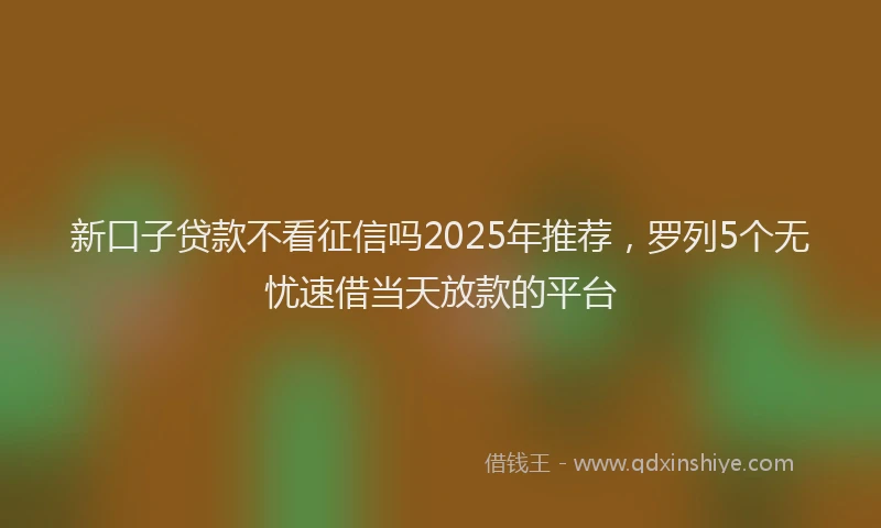 新口子贷款不看征信吗2025年推荐，罗列5个无忧速借当天放款的平台