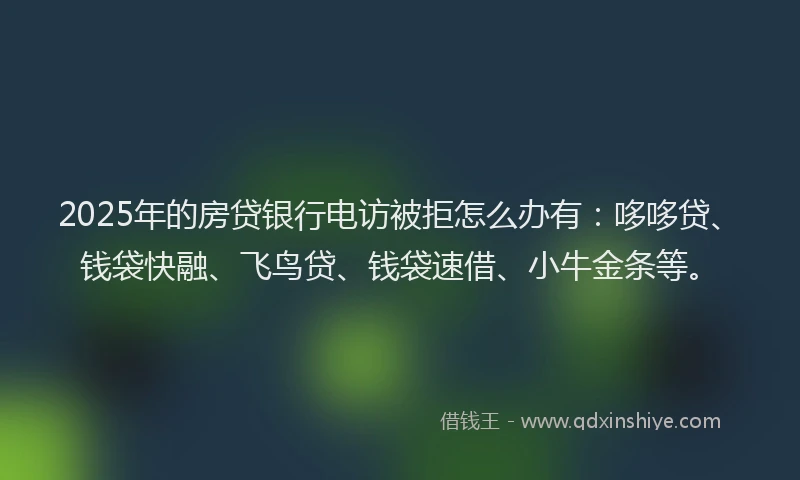 2025年的房贷银行电访被拒怎么办有：哆哆贷、钱袋快融、飞鸟贷、钱袋速借、小牛金条等。