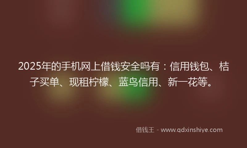 2025年的手机网上借钱安全吗有：信用钱包、桔子买单、现租柠檬、蓝鸟信用、新一花等。