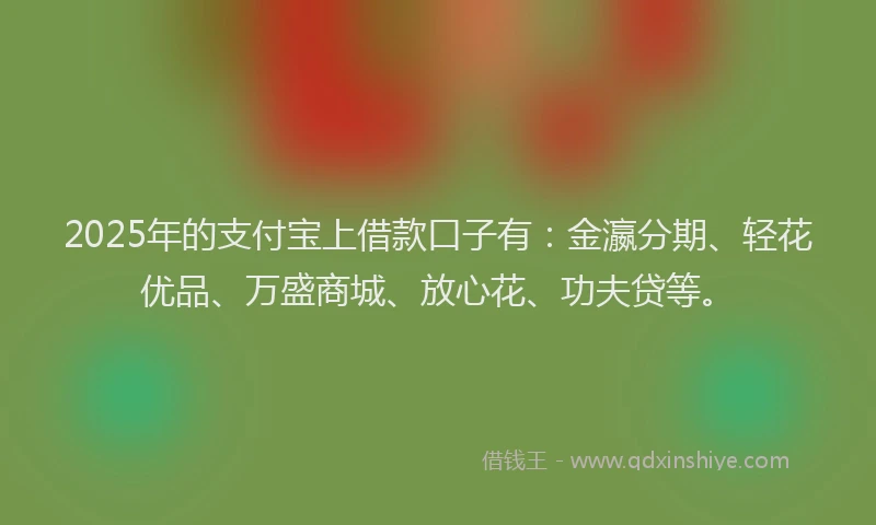 2025年的支付宝上借款口子有：金瀛分期、轻花优品、万盛商城、放心花、功夫贷等。