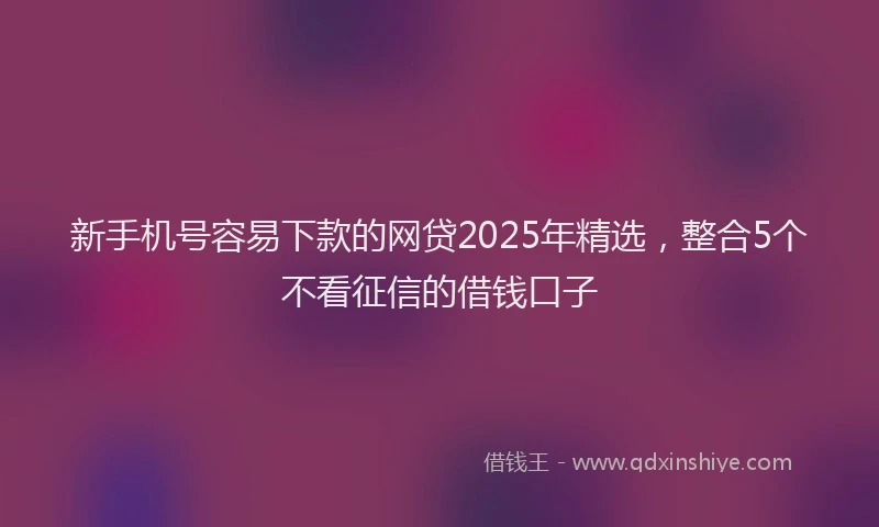 新手机号容易下款的网贷2025年精选，整合5个不看征信的借钱口子