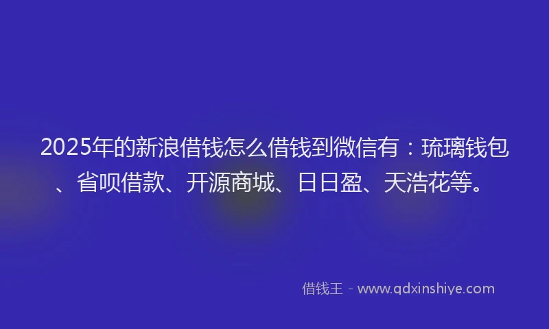2025年的新浪借钱怎么借钱到微信有：琉璃钱包、省呗借款、开源商城、日日盈、天浩花等。