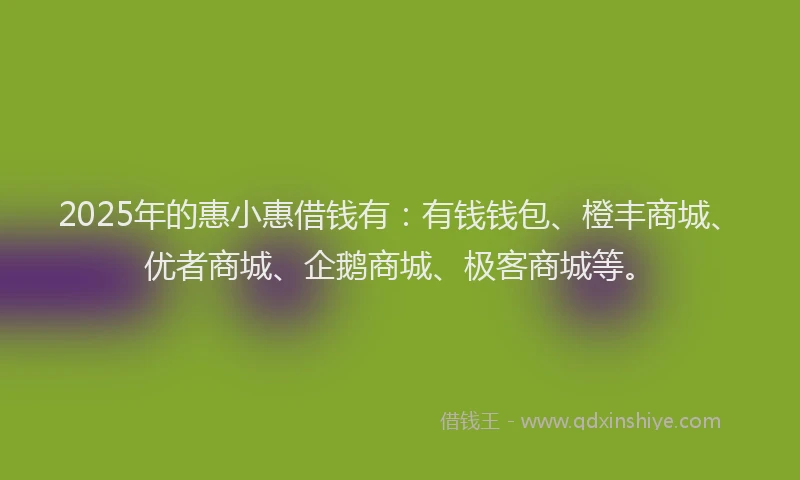 2025年的惠小惠借钱有：有钱钱包、橙丰商城、优者商城、企鹅商城、极客商城等。