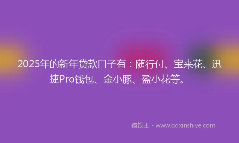 2025年的新年贷款口子有：随行付、宝来花、迅捷Pro钱包、金小豚、盈小花等。
