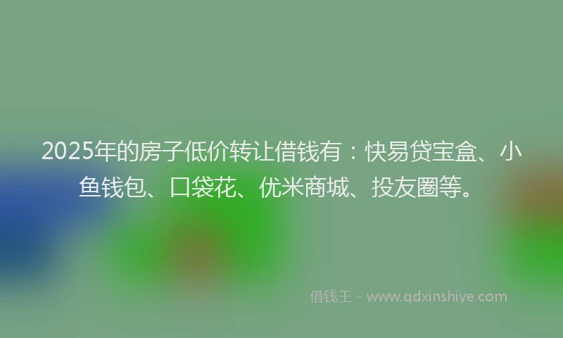 2025年的房子低价转让借钱有：快易贷宝盒、小鱼钱包、口袋花、优米商城、投友圈等。