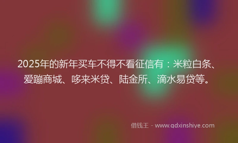 2025年的新年买车不得不看征信有：米粒白条、爱蹦商城、哆来米贷、陆金所、滴水易贷等。