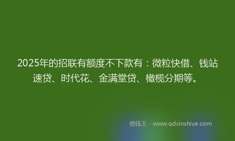 2025年的招联有额度不下款有：微粒快借、钱站速贷、时代花、金满堂贷、橄榄分期等。