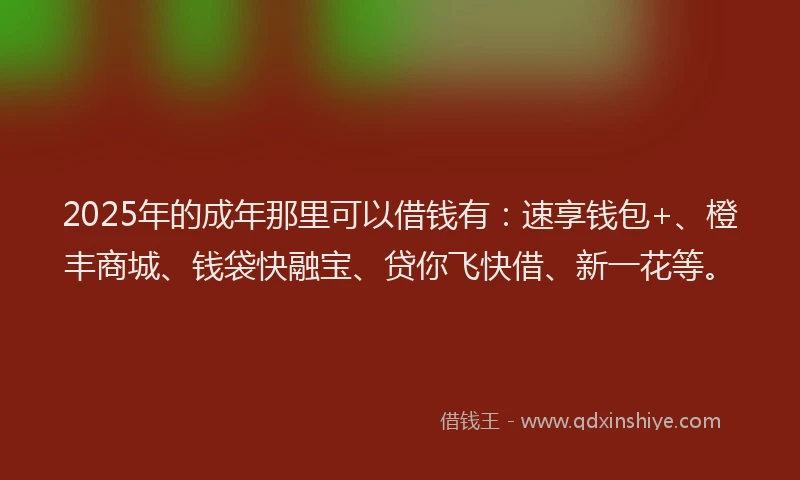 2025年的成年那里可以借钱有：速享钱包+、橙丰商城、钱袋快融宝、贷你飞快借、新一花等。