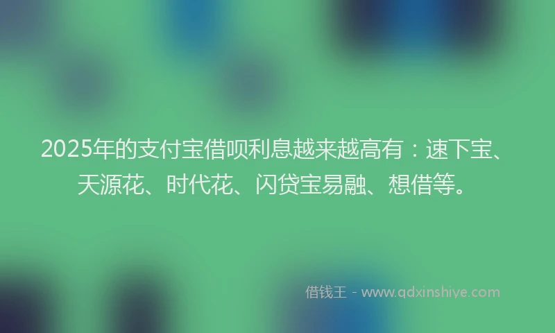 2025年的支付宝借呗利息越来越高有：速下宝、天源花、时代花、闪贷宝易融、想借等。