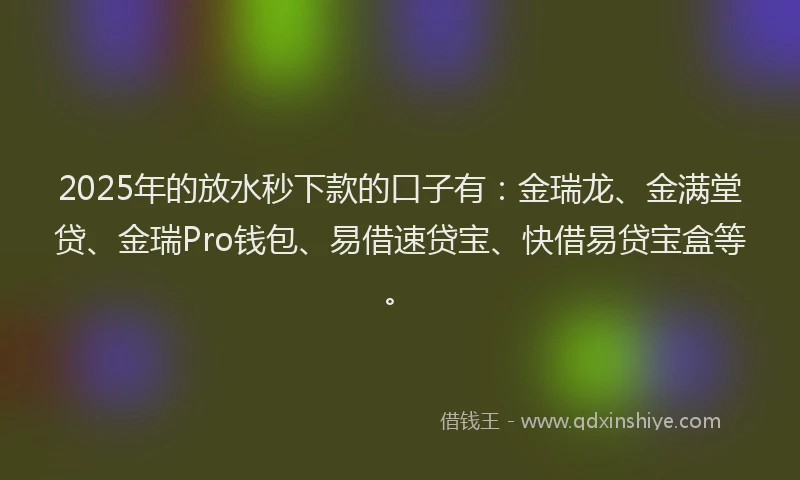 2025年的放水秒下款的口子有：金瑞龙、金满堂贷、金瑞Pro钱包、易借速贷宝、快借易贷宝盒等。