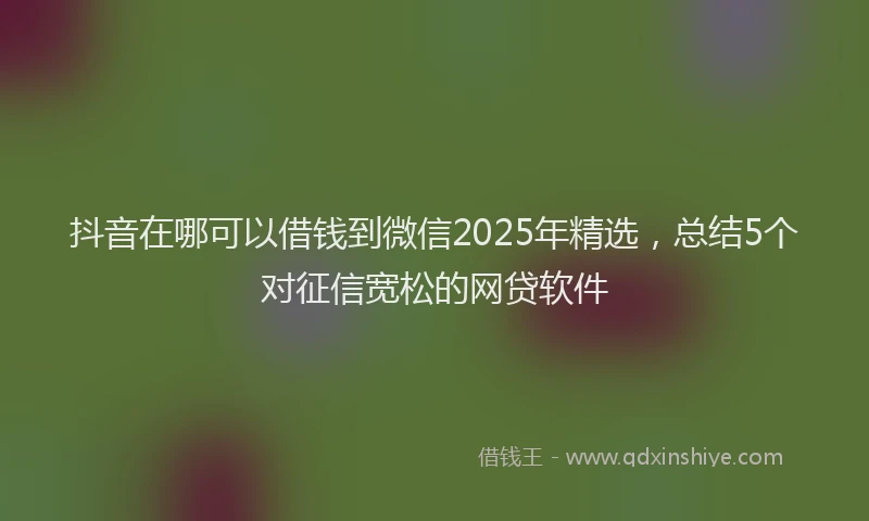 抖音在哪可以借钱到微信2025年精选，总结5个对征信宽松的网贷软件