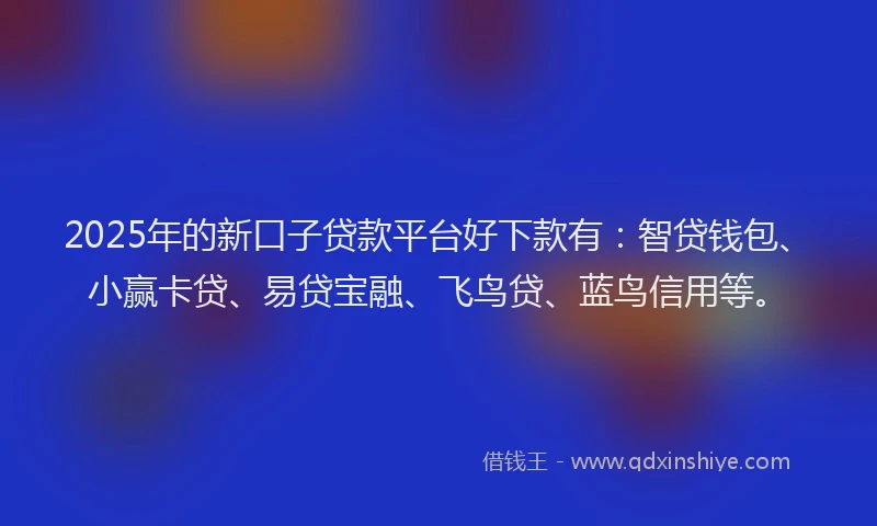 2025年的新口子贷款平台好下款有：智贷钱包、小赢卡贷、易贷宝融、飞鸟贷、蓝鸟信用等。
