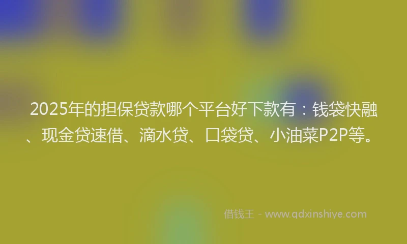 2025年的担保贷款哪个平台好下款有：钱袋快融、现金贷速借、滴水贷、口袋贷、小油菜P2P等。