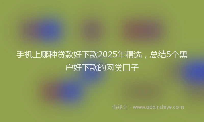 手机上哪种贷款好下款2025年精选，总结5个黑户好下款的网贷口子