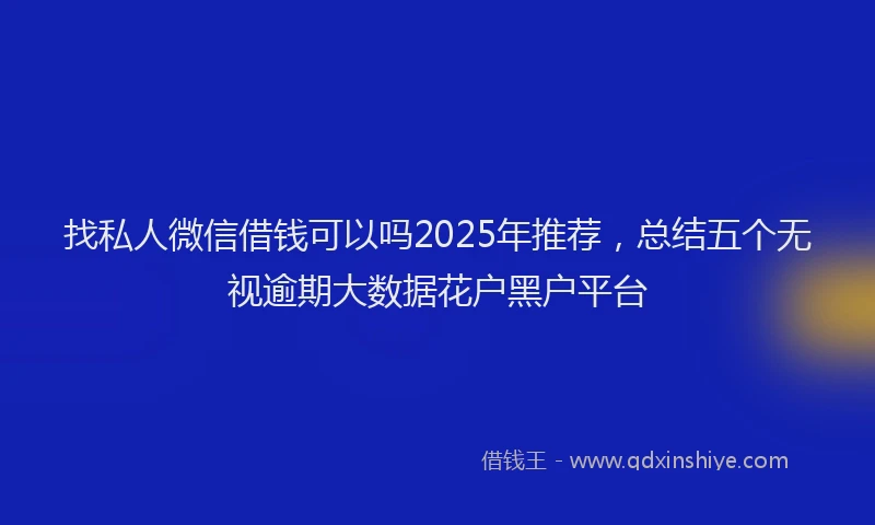 找私人微信借钱可以吗2025年推荐，总结五个无视逾期大数据花户黑户平台
