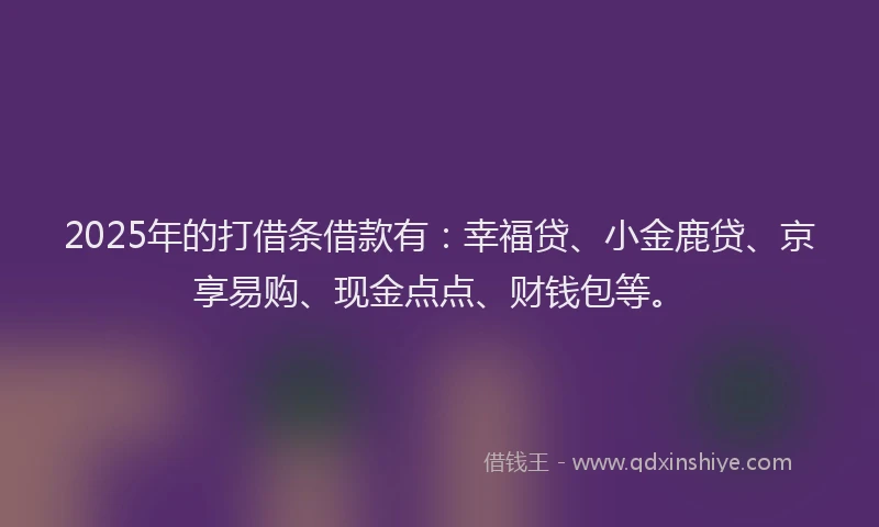 2025年的打借条借款有：幸福贷、小金鹿贷、京享易购、现金点点、财钱包等。