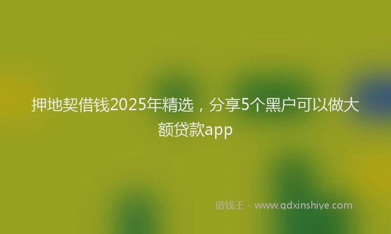 押地契借钱2025年精选，分享5个黑户可以做大额贷款app