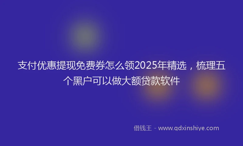 支付优惠提现免费券怎么领2025年精选，梳理五个黑户可以做大额贷款软件