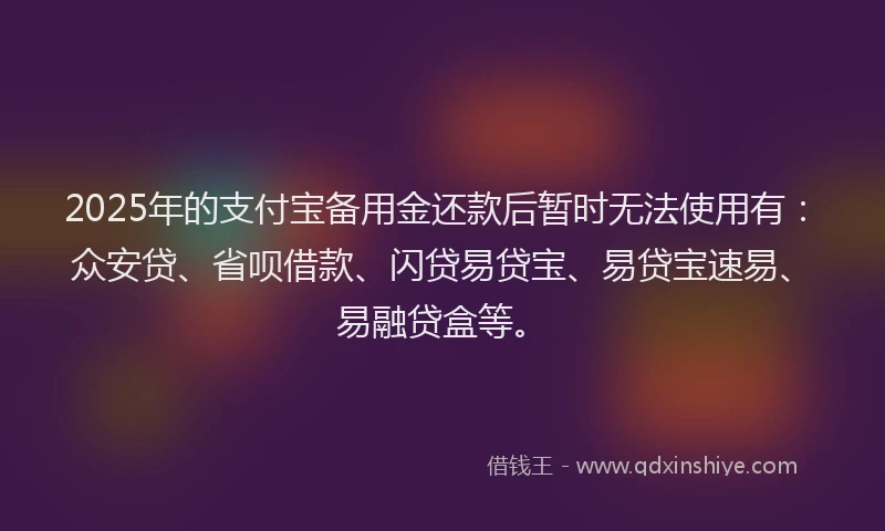 2025年的支付宝备用金还款后暂时无法使用有：众安贷、省呗借款、闪贷易贷宝、易贷宝速易、易融贷盒等。