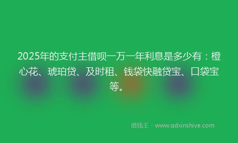 2025年的支付主借呗一万一年利息是多少有：橙心花、琥珀贷、及时租、钱袋快融贷宝、口袋宝等。