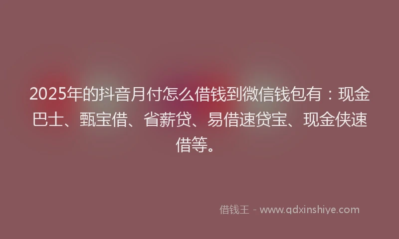 2025年的抖音月付怎么借钱到微信钱包有：现金巴士、甄宝借、省薪贷、易借速贷宝、现金侠速借等。
