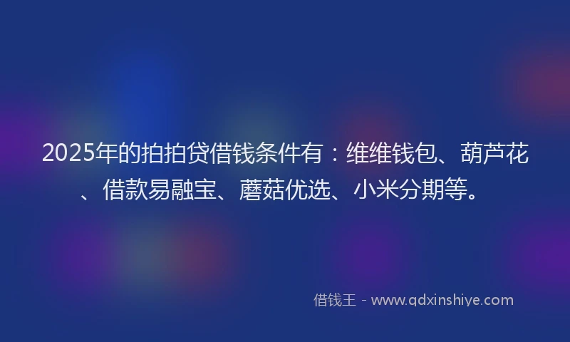 2025年的拍拍贷借钱条件有：维维钱包、葫芦花、借款易融宝、蘑菇优选、小米分期等。